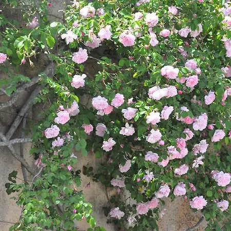 Villa Ca Na Catalina *