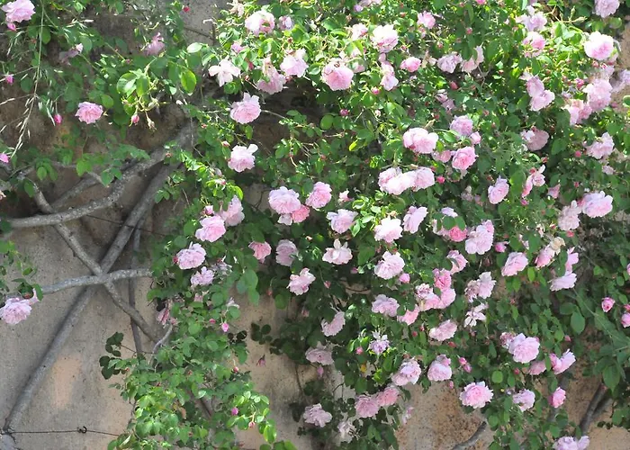 Villa Ca Na Catalina *